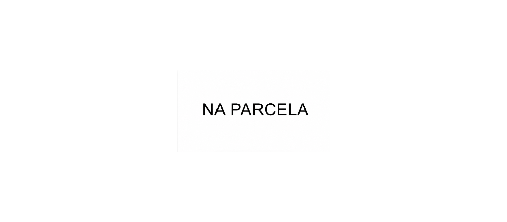 Como parar de pagar aluguel de software financeiro construindo o seu: a lição da Carioca Jeans