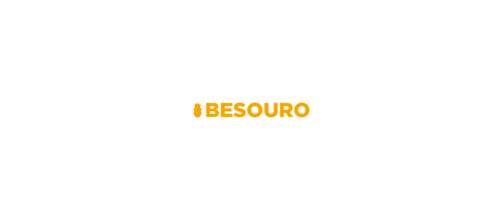 Quando comprar software vira imposto: o caso da internalização de tecnologia na Agência Besouro